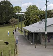 ‘Absolutely brazen’: Woman attacked by teens while relaxing in Auckland park | NZ’s second …