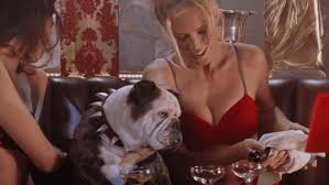 Adam Sandler’s Most Underappreciated Comedy Deserves A Second Look