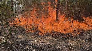 Wind, intense heat and deliberately lit fires keeping NSW firefighters busy | Major Fire Update D…