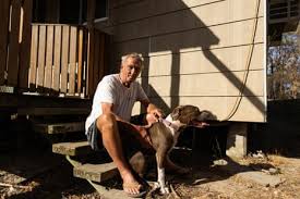 ‘It came from everywhere’: NSW town counts the cost after bushfire hits | Falling tree kills …