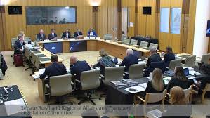 ‘Fool, ignoramus’: Parliamentary committee suspended as senators clash | ‘I’ll cut you up’: Senat…