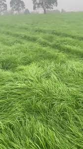 Two major battery projects approved on Gippsland farmland | Coal country battery project that ear…