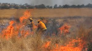 As Victoria’s grassland dries, the CFA warns of increased fire risk | Total Fire Ban for Geelong,…