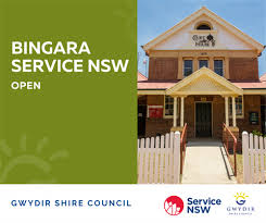 Bingara Service NSW – OPEN | Clarence Valley Summer 2026: Exciting Library Programs, Art Workshop…