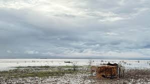 Disaster in north-west Queensland not over yet, more rain forecast for tropical coast | ‘Batter…