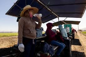 Excessive heat | Rising Heat Means More Vigilance in Keeping Workers Safe | Jenny’s son died afte…