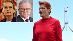 Newspoll: One Nation ahead of Coalition, PM takes Bondi bruising | One Nation overtakes Coalition…