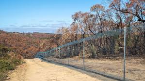 ‘Predator-free’ fence project praised for restoring Kangaroo Island’s native wildlife | Endangere…