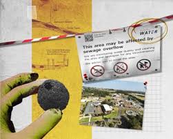 The 16-month battle to reveal the truth about Sydney Water’s poo balls | Coogee beach has a poo…