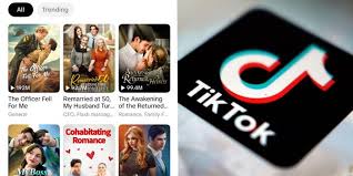 TikTok has quietly launched a new micro drama app called PineDrama as the category picks up steam…