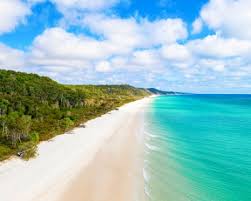 Woman found dead on popular Australian tourist island K’gari | Dingoes ‘had been in contact’ wi…