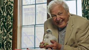 ‘Wild London’: 5 things we learned from David Attenborough’s London nature doc | Set yourse…