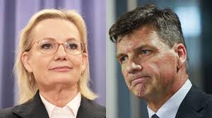 Angus Taylor becomes Liberal leader | Sussan Ley took this job with ambition and promise. But thi…