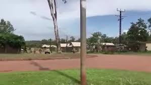 ‘Crossbows, axes, spears’ wielded in large disturbances in NT remote community | Cops lose contro…