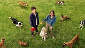 Dog Park: S1 Episode 1 You And Me And The Dog Makes Three | Dog Park review – this charming com…