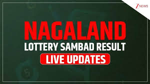 Nagaland Dear SEAGULL 8 PM Lottery Result Today 13-02-2026 OUT: Friday Lucky Draw DECLARED At 8 P…