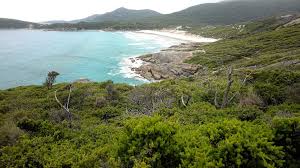 This beach was crowned Australia’s best. Is it being ‘loved to death’? | Fears for Australi…