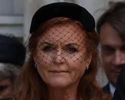 ‘She needs to fix it’: Jeffrey Epstein’s plot to win redemption via Sarah Ferguson | ‘Marry…