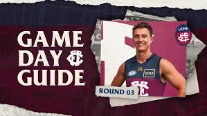 Game Day Guide: Round 3 vs. St Kilda | St Kilda vs Brisbane Prediction and Tips – AFL Round 3, 20…