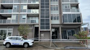 Police shoot man who allegedly threatened officers with weapon | Police hailed ‘heroic’ after sho…