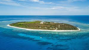 Shark attack off Qld island leaves snorkeller wounded | Snorkeller bitten by shark off Australian…