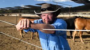 Without fuel, these rural businesses say there will be no food | Farmers on three-week waiting li…