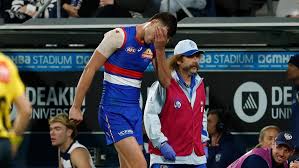 Massive knee concern for star Dog | Darcy goes down with knee injury amid Dogs disaster in Geelon…