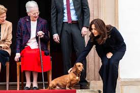 Queen Margrethe Firmly Corrects Daughter-in-Law Queen Mary for Petting Her Dog in Awkward Moment …