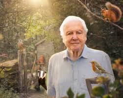 Secret Garden to Outcome: the week in rave reviews | ‘Attenborough made a documentary about my ga…