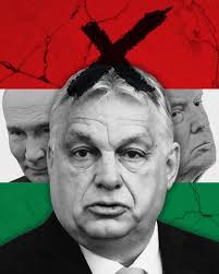 Zebras, wealth and power: Hungary’s election tests Orbán’s grip on power | Euroviews. Hungar…