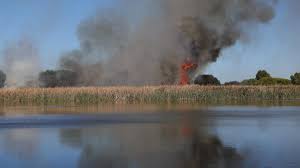 Herdsman Lake in Perth’s north goes up in flames as fire crews battle blaze, locals warned of s…