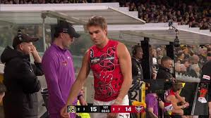 Huge DOUBLE Bomber blow in early injury chaos | Team selection: Bombers bring in four for Dreamti…