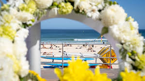 ‘Surprise attack’ left 11 shot within seconds of Bondi massacre starting | Antisemitism royal com…
