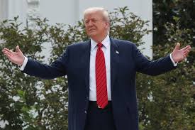 Agent who inspired HBO’s ‘Entourage’ is behind Trump’s tough-guy image: MMA writer | Is Leo DiCap…