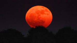 How to see the year’s highest moon tonight | Your horoscope for the Full Strawberry Moon on 29t…