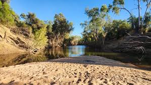 Suspected saltwater crocodile takes dog at unexpected outback location | Rare crocodile attack tr…