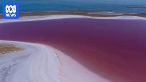 The dry heart of Australia is now awash with water | Iranian immigrant takes flight in the Austra…