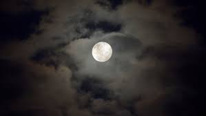 A ‘Buck Moon’ rises over Australia tonight – here’s what you need to know | Wild ‘buck …