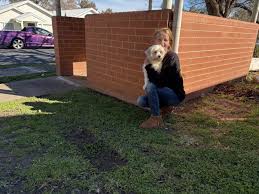 ‘Beyond stupidity’: Rachel’s unusual driveway discovery in the dead of the night | Man caught dri…