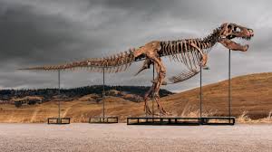 Buyer drops nearly $72m on one of world’s most complete T-rex skeletons | Someone just paid $71.7…