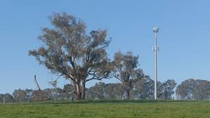 Government urged to ‘bite the bullet’ and mandate mobile phone roaming | Clare Rowe on Credlin Sk…