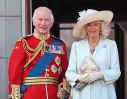 Queen Camilla “Dropped Everything” to Be Part of King Charles and Prince Harry’s Reunion | …