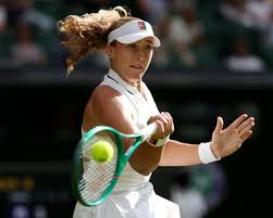 Wimbledon 2026: Krejcikova v Andreeva, Gauff battles past Sierra, Sinner beats Borges – live | …