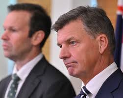 Coalition to back Hanson’s migration policy despite pledging to fight One Nation | Coalition ba…
