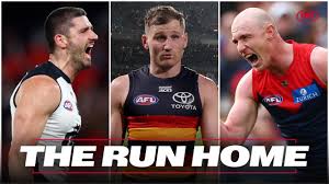 Every contender’s finals scenarios explained as Pies-Blues wildcard blockbuster looms | Ladder …