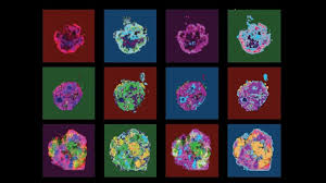 How a common virus’s hijack of cell repair processes may promote cancer | COVID-19 awakens dorman…