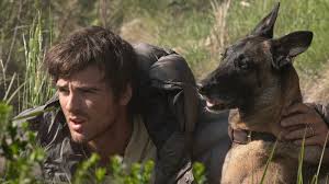 In case it was ever in doubt, Jacob Elordi is a ‘dog person’ | VIDEO: Jacob Elordi and Ridley…