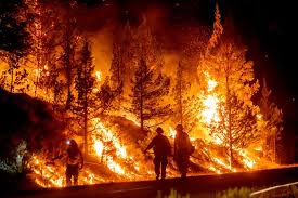 July was the hottest month in the US since records began in 1895 | Contiguous US breaks its recor…