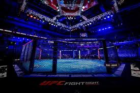 Prelim Results | UFC Belgrade | UFC Belgrade ‘Medic vs. Rodriguez’ play-by-play, results & ro…