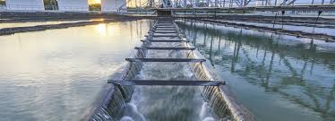 Should a Hawaii Spill and New Upgrades Shift How Investors View American Water Works’ (AWK) Ris…